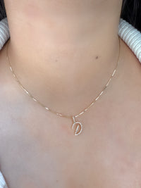 Dije de Inicial Diamante